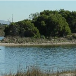 Driftsands nature reserve