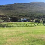 Cape point ostrich farm